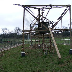 Coati enclosure at Noah's Ark Zoo Farm, 5 March 2011