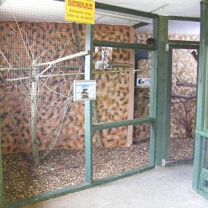 Cotton-top tamarin indoor enclosure at Noah's Ark Zoo Farm, 5 March 2011
