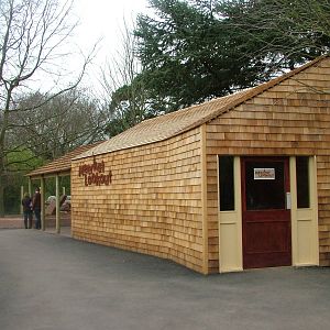 Meerkat Lookout at Bristol, 06/03/11