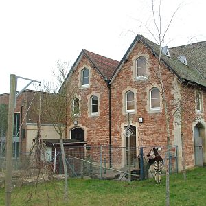 Gorilla and Okapi House at Bristol, 06/03/11