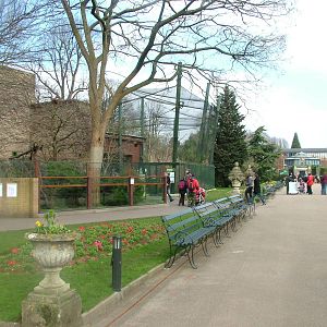 Top Terrace at Bristol, 06/03/11