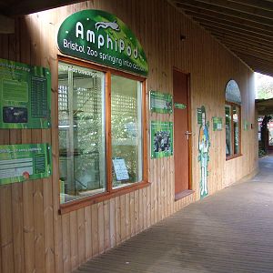 AmphiPod at Bristol, 06/03/11