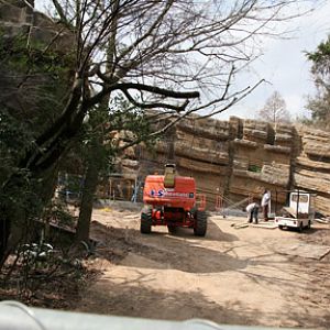 puma exhibit renovation