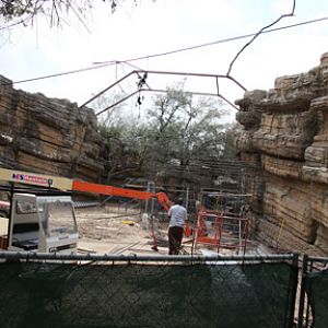 puma exhibit renovation