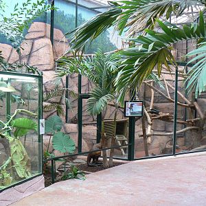 Australian greenhouse - General views