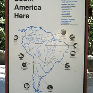 south america graphic