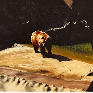 San Diego Zoo 1980's