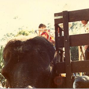 San Diego Wild Animal Park 1980's