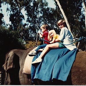 San Diego Wild Animal Park 1980's