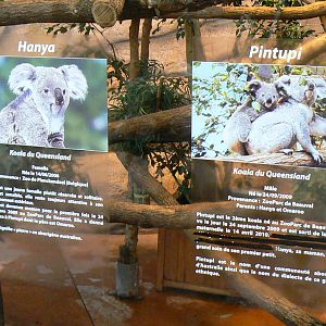 Australian greenhouse - Hanya and Pintupi signage