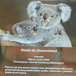 Australian greenhouse - Alguna signage