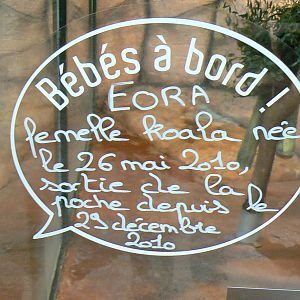 Australian greenhouse - Koala birth signage