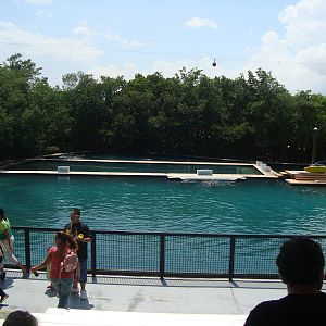 Flipper lagoon