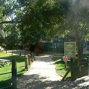 The Roost - Wellington Zoo
