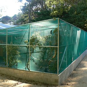 New Roost Aviaries - Wellington Zoo