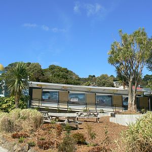 New Reptile Exhibits - Wellington Zoo