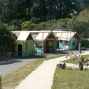 New Tamarin Exhibits - Wellington Zoo