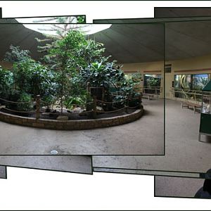 Bird House panorama