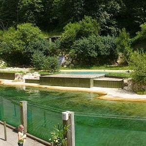 Harbor seals exhibit and aquatic birds show area