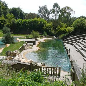 Harbor seals exhibit and aquatic birds show area