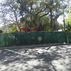 Construction at the zoo