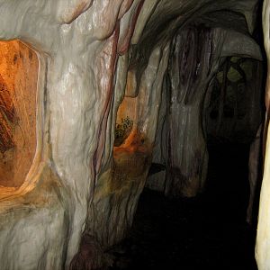 Zoo Opole-World of insect