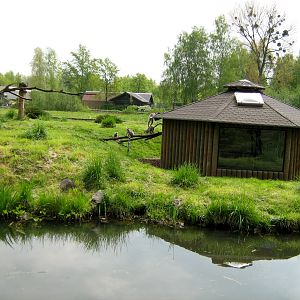 Zoo Opole - Playground lemur