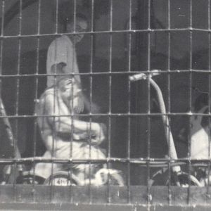 Chimpanzee on bicycle circa 1950s