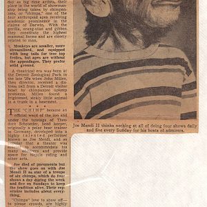 Chimpanzee entertainment, 1951