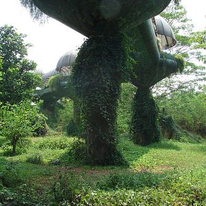 Gorillas enclosure - Schmutzer Primate Centre