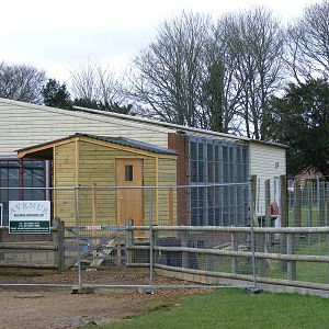 New building attached to the Sulawesi macaque house at Marwell Wildlife, 13