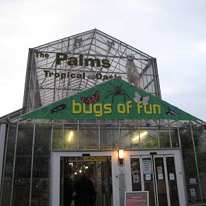 New signage for Bugs of fun