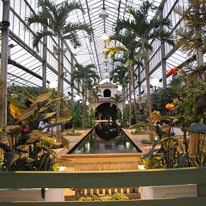 inside Palms Tropical Oasis/Bugs of Fun