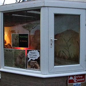 Prarie Dogs enclosure