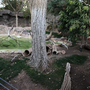 spot neck otter exhibit