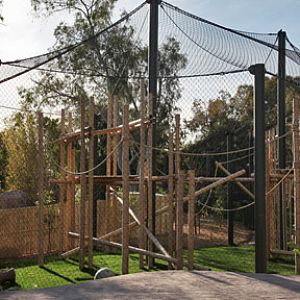 New orangutan exhibit.