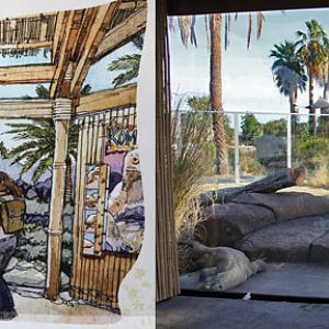 Rendering and Reality