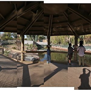 Multi species boardwalk exhibit