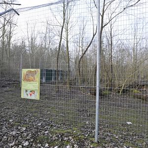 Panthera pardus kotiya enclosure