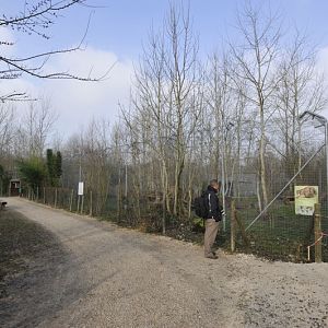 Pardofelis temmincki enclosure
