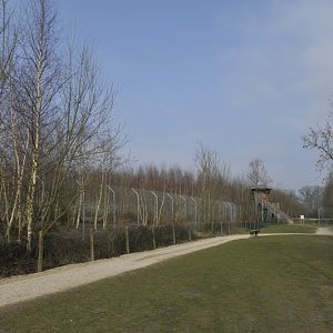 Panthera tigris altaica enclosure