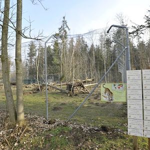 Panthera pardus orientalis enclosure