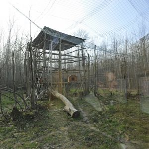 Neofelis nebulosa enclosure