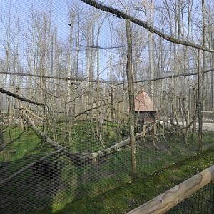 Leopardus tigrinus enclosure