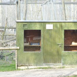 Leopardus tigrinus enclosure