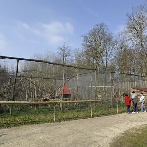 Leopardus tigrinus enclosure