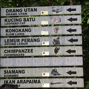 Signboard