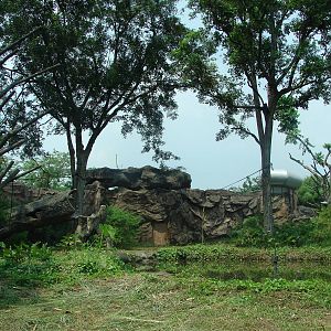 Chimpanzee island - Schmutzer Primate Centre