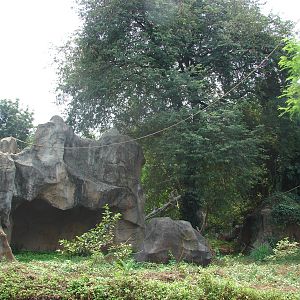 Chimpanzee island - Schmutzer Primate Centre