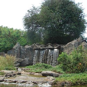 Chimpanzee island - Schmutzer Primate Centre
